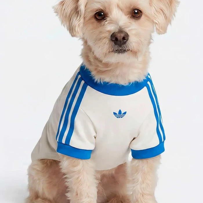 adidas Originals Evcil Hayvan Pet Cali