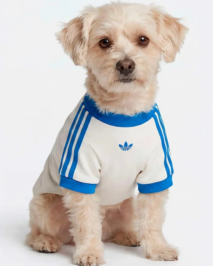 adidas Originals Evcil Hayvan Pet Cali