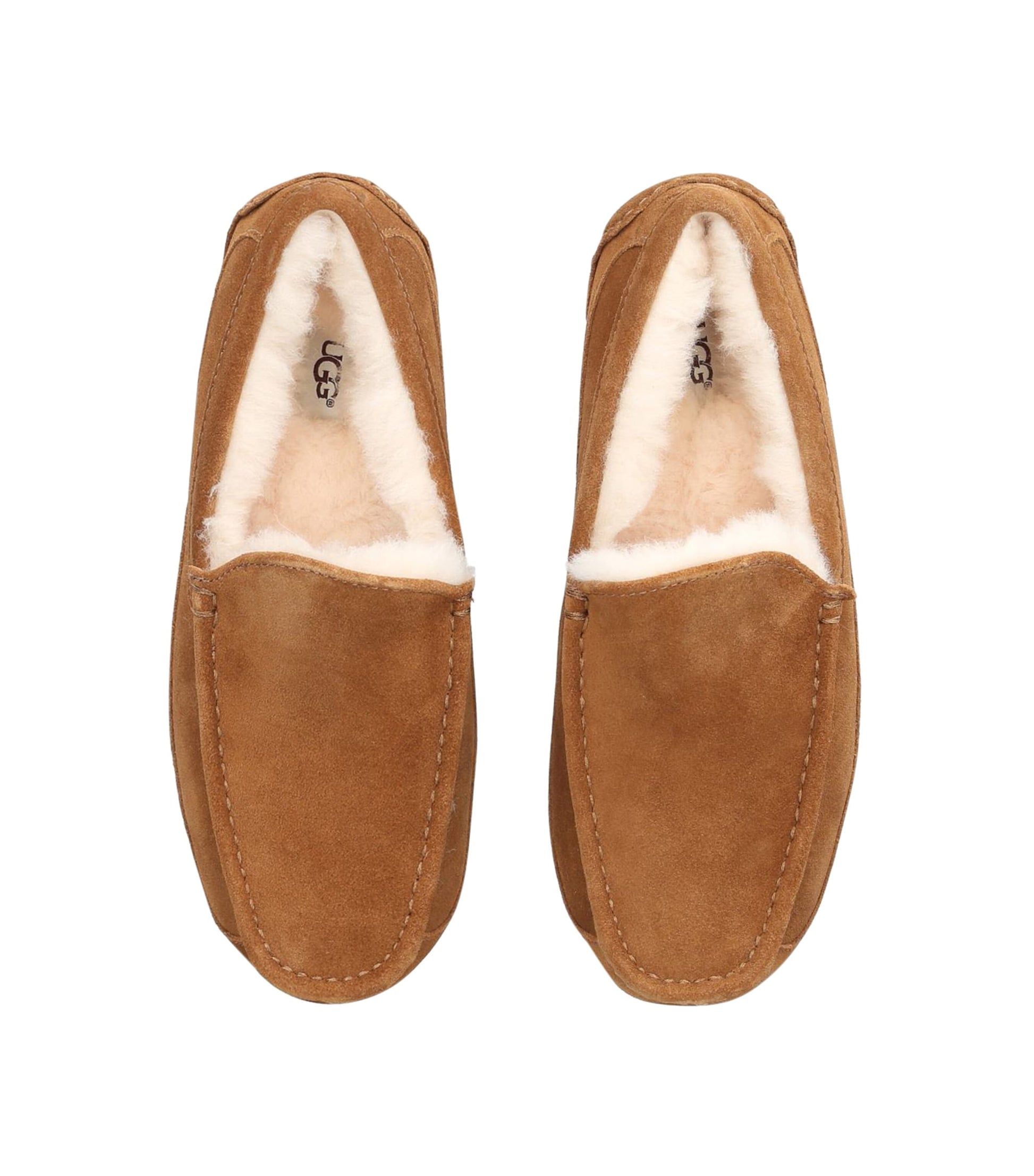 Suede Ascot Slippers