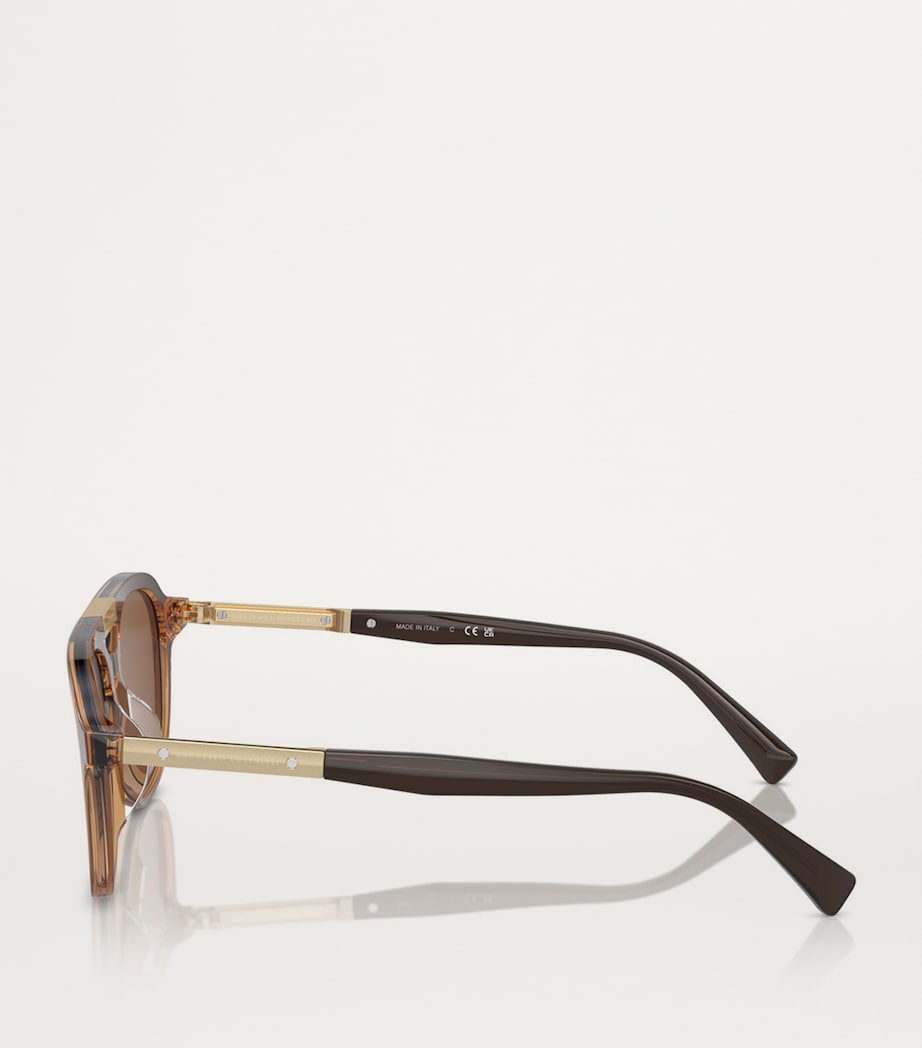 Acetate BC4001S Sunglasses