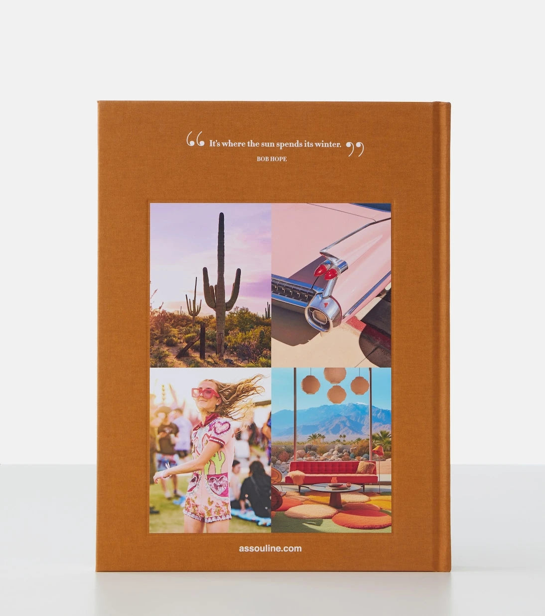 Assouline - Palm Springs kitabı