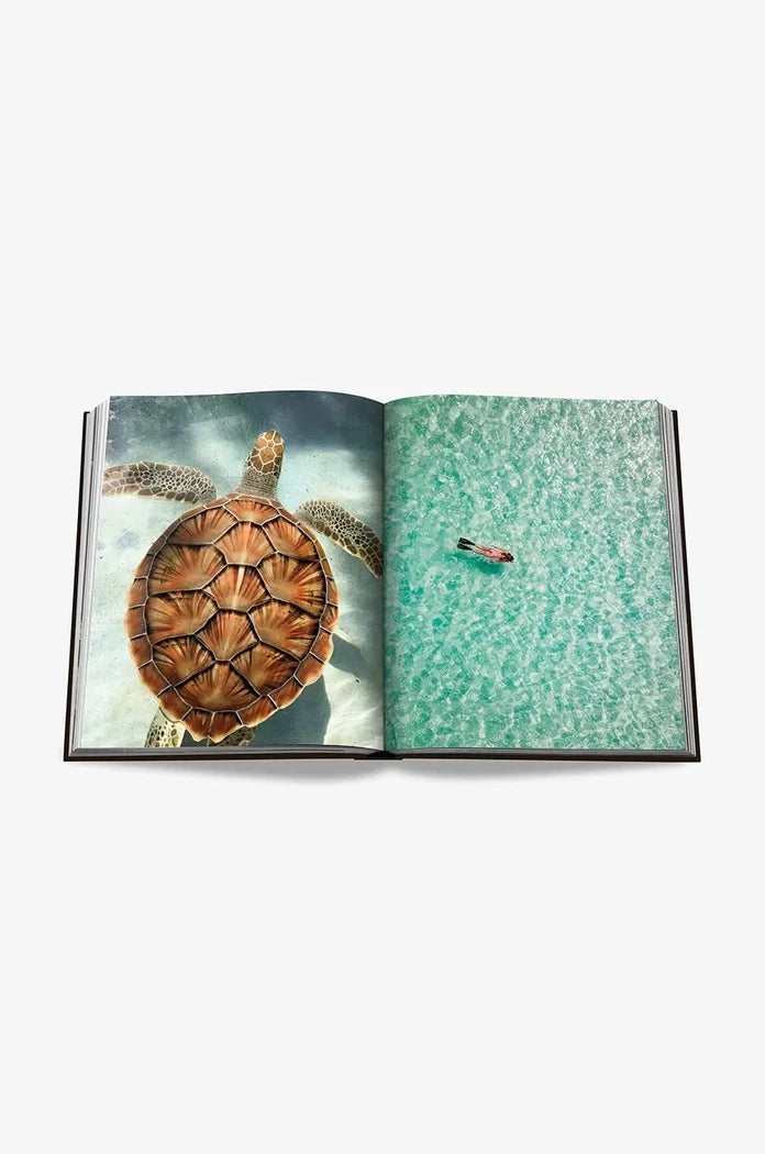 Книга Assouline Jamaica Vibes by Lisa Lovatt-Smith, Novia McDonald Whyte, English