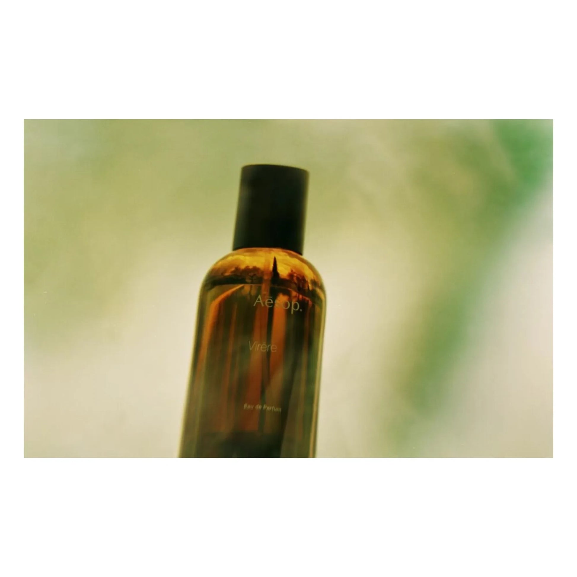 Aesop - Eau de Parfum Virēre - 50ml