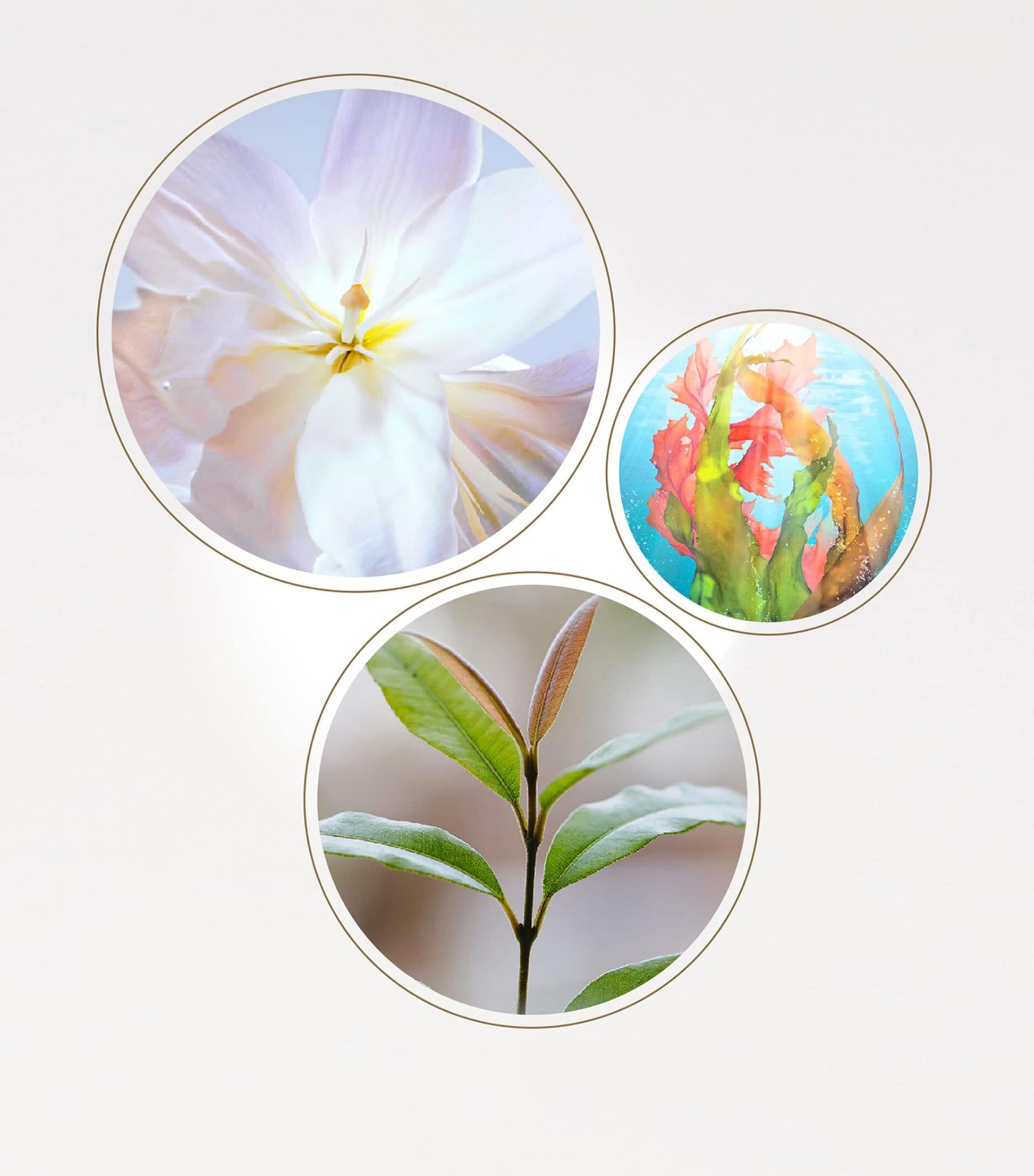 Clé de Peau Beauté The Serum (50ml) - Refill