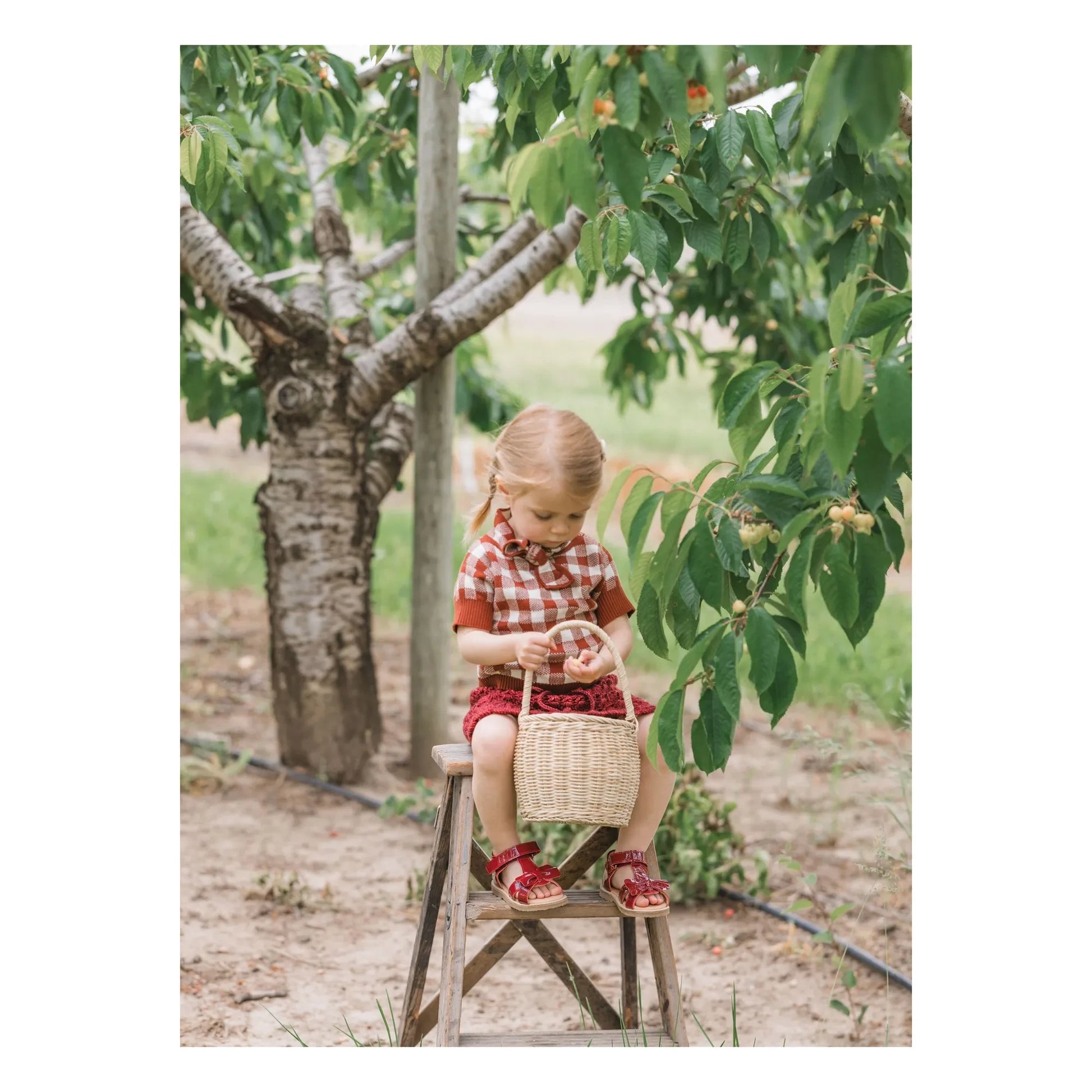 Petit Nord - Sandals Gry  | Cherry red
