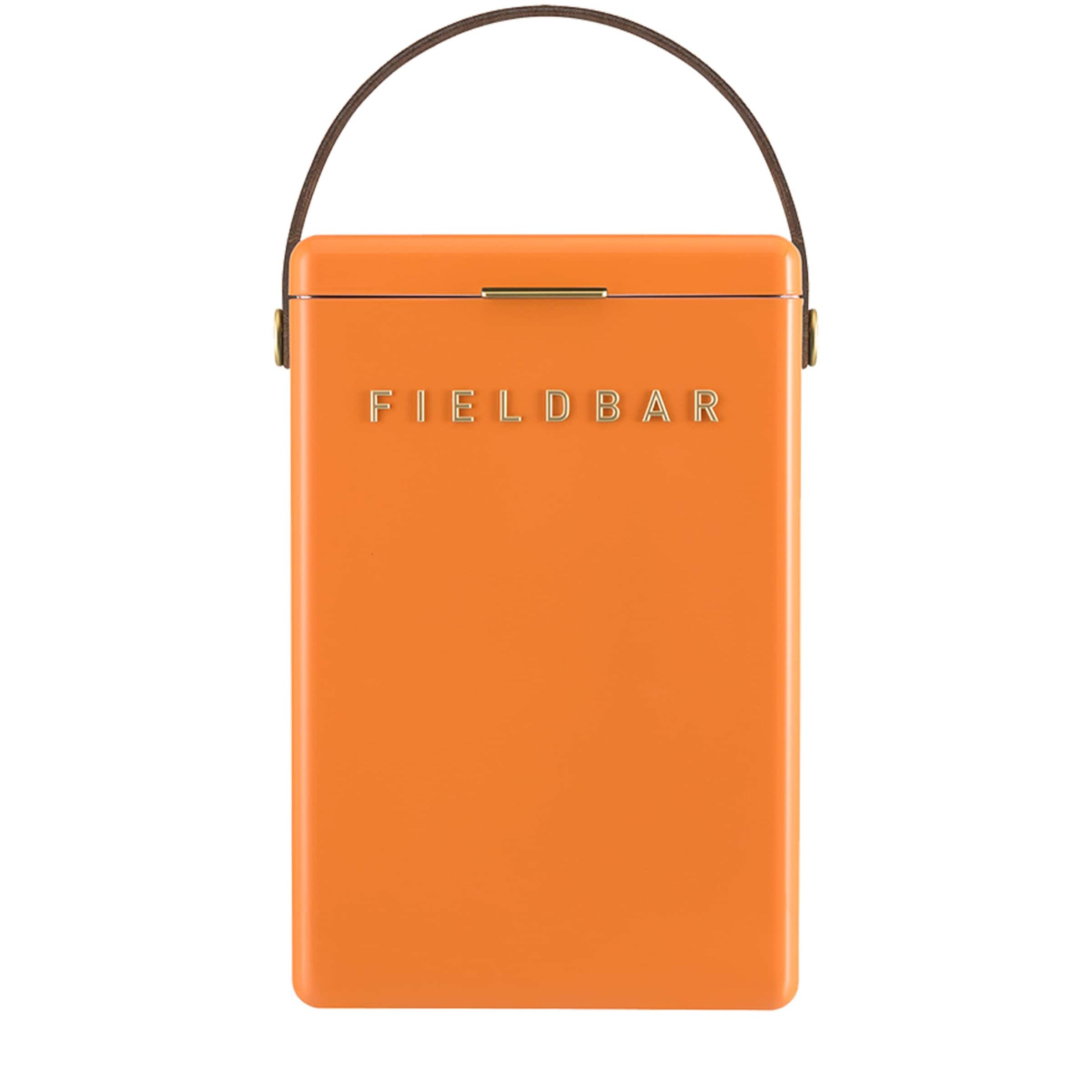 Fieldbar Drinks Box Cooler with Interchangeable Straps (10L)