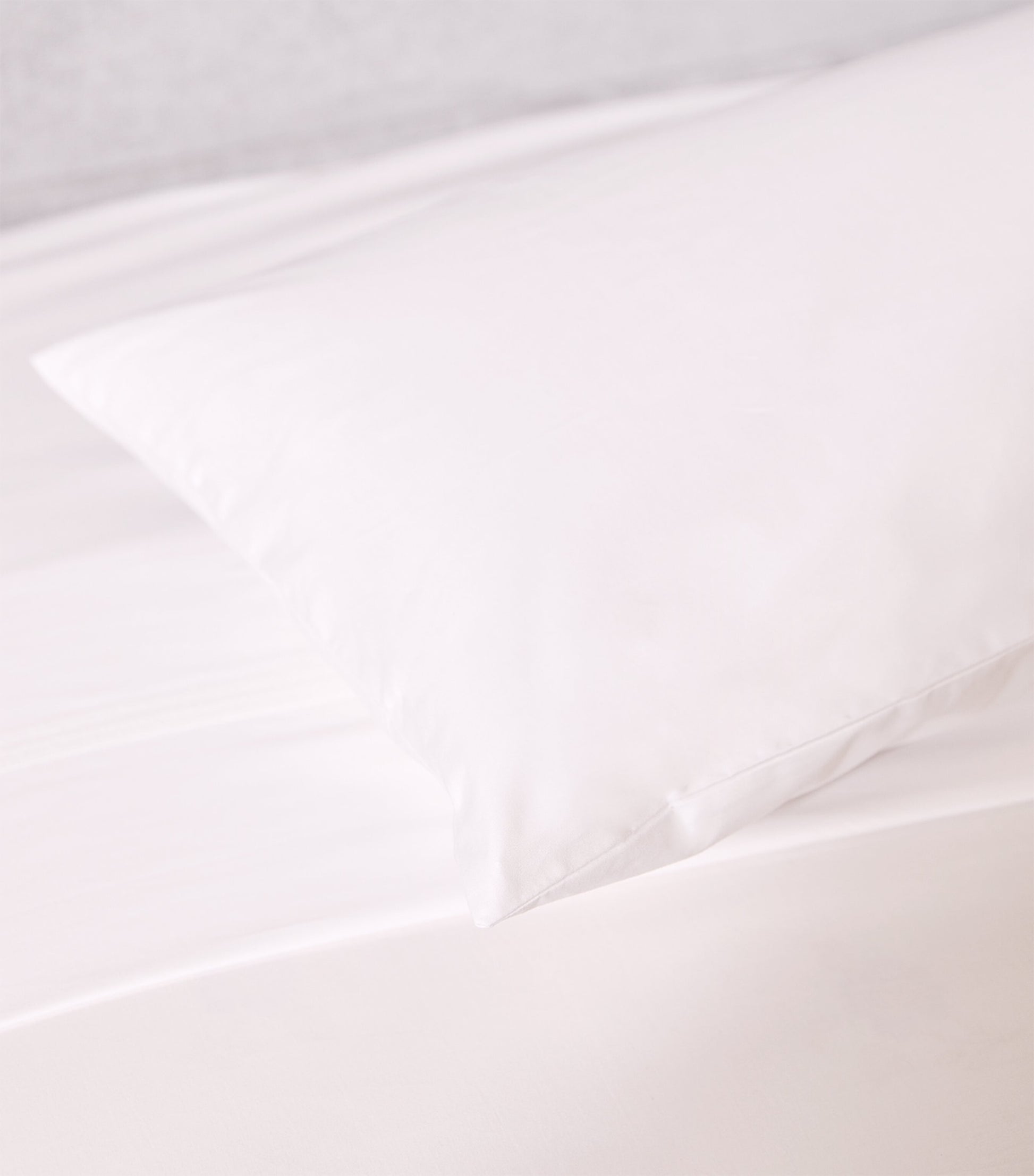 Cambridge Dust Mite Pillowcase Protector Pair (35cm x 160cm)