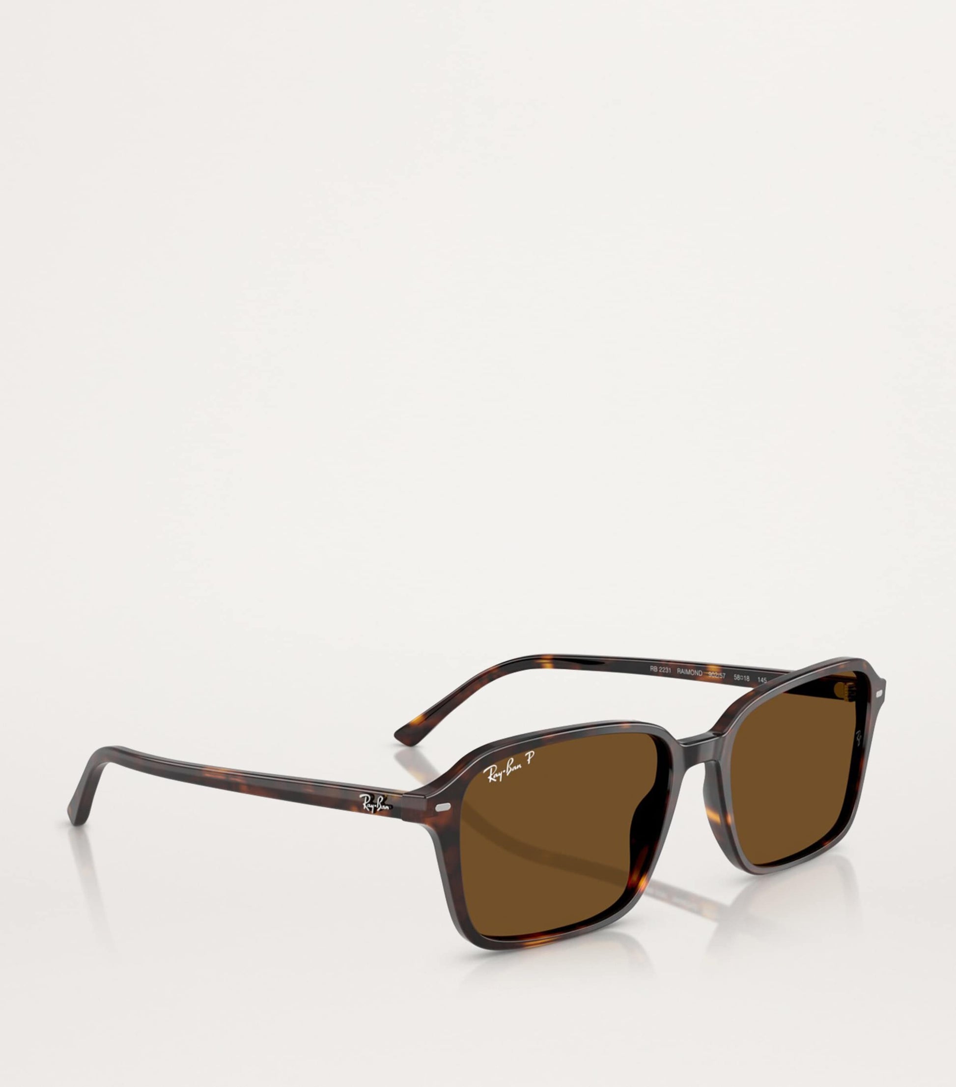 Ray-Ban Brown RB2231 Raimond Sunglasses