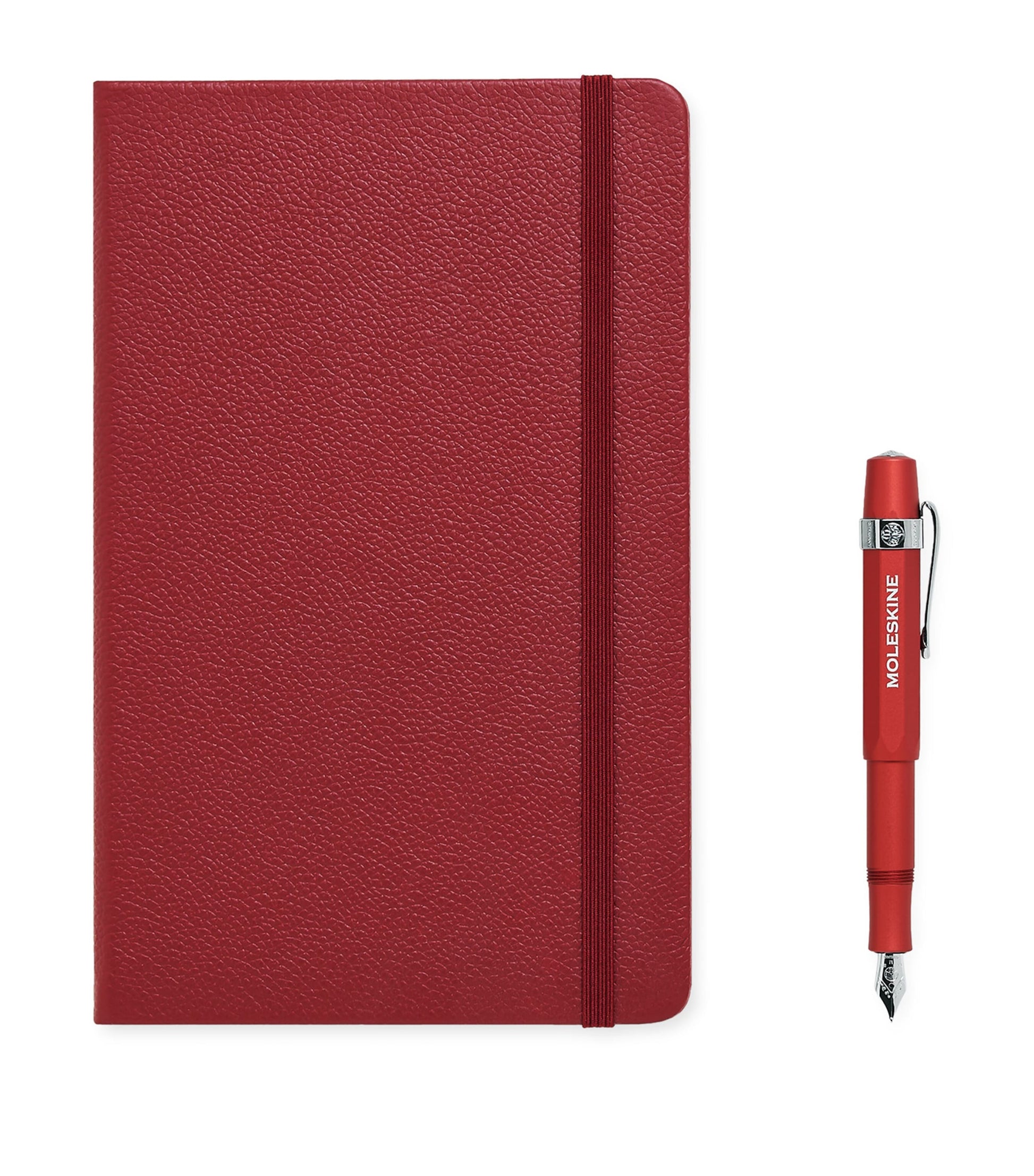 Moleskine Le Duo Ecriture Fountain Pen and Notebook Set