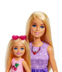 Barbie Malibu and Chelsea Doll Set