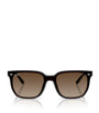 RB4466D Square Sunglasses