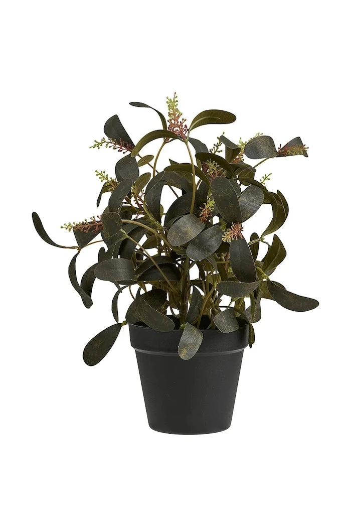 House Nordic Saksıda Yapay Bitki 35 cm