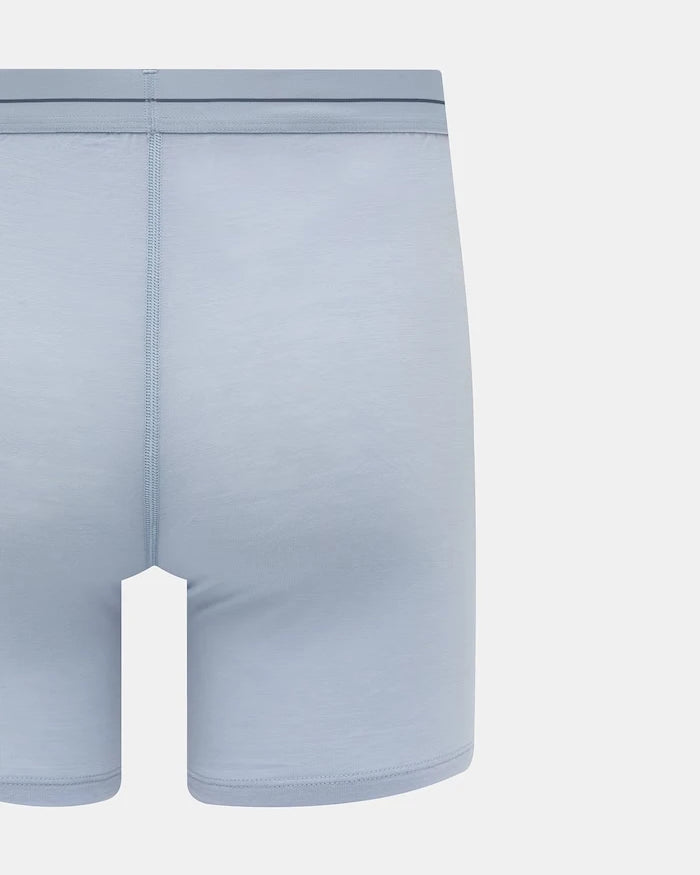 Icebreaker функционel erkek merinos yünü boxer Anatomica