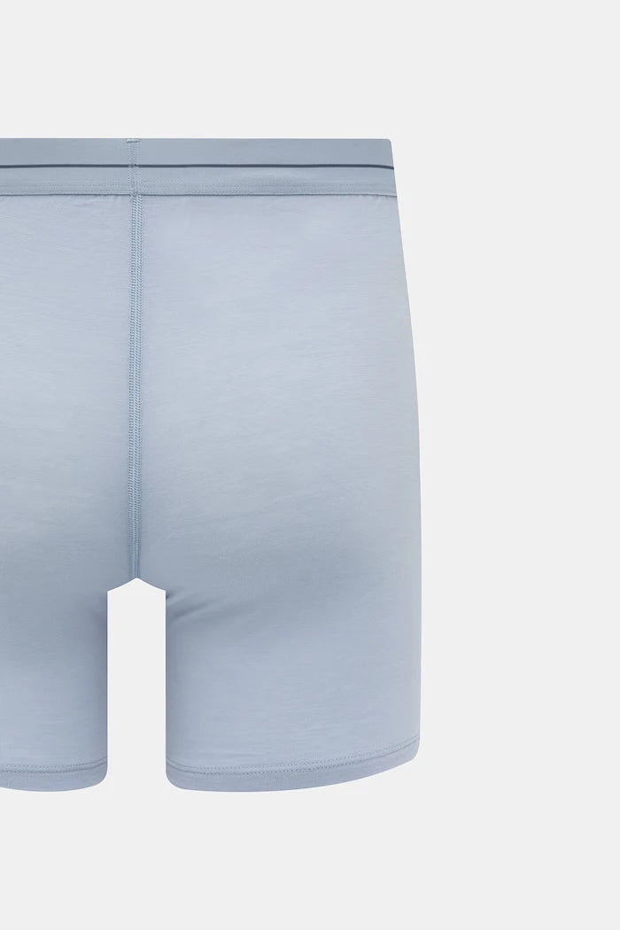 Icebreaker функционel erkek merinos yünü boxer Anatomica