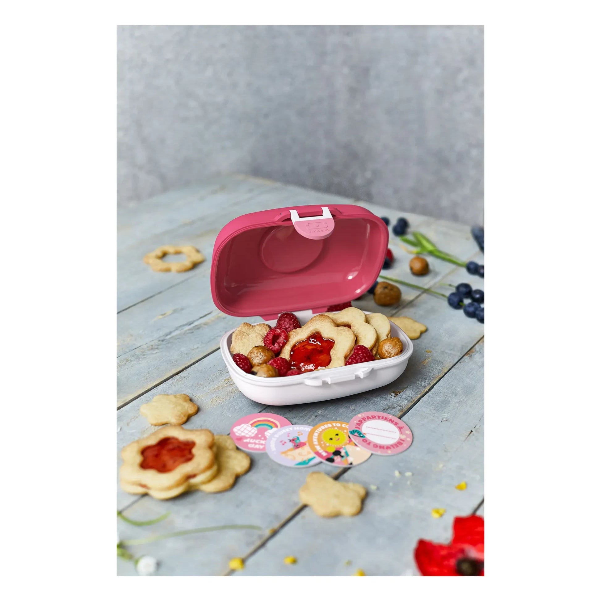 Monbento - MB Gram Oiseaux snack box | Pink