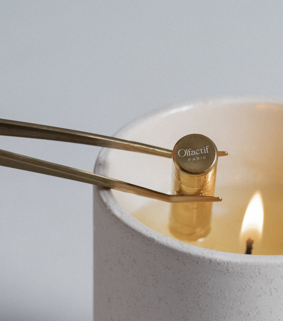 Olfactif Gemini Wild Berries Candle (240g)