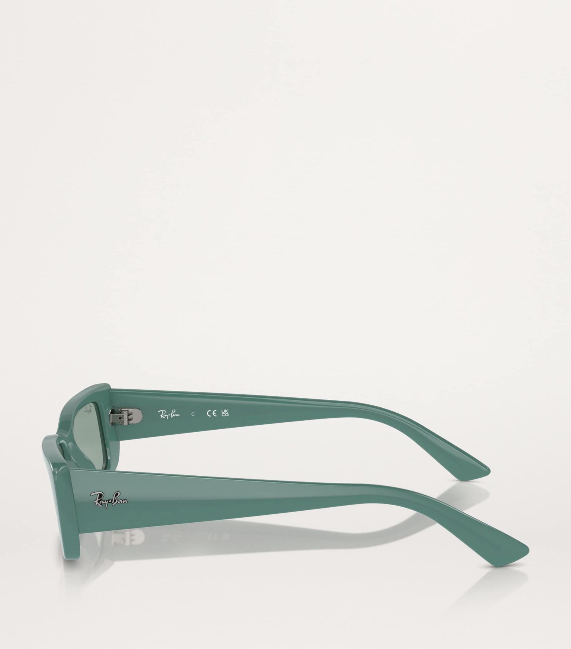 Bio-Based RB4425 Teru Sunglasses