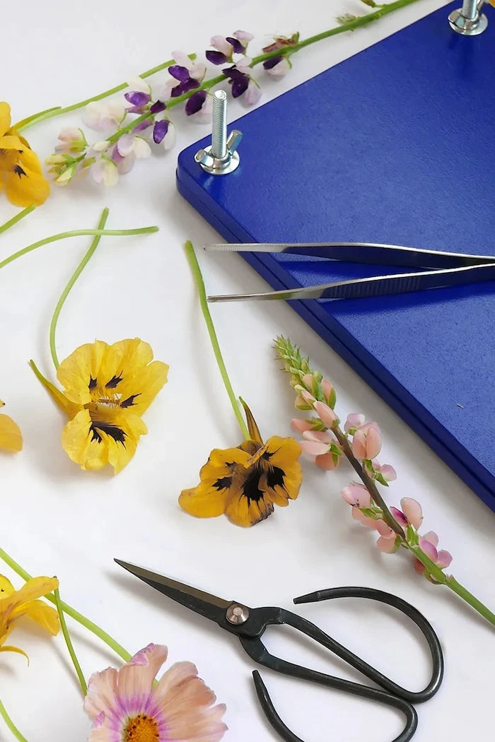 Printworks Flower Press DIY Çiçek Kurutma Seti