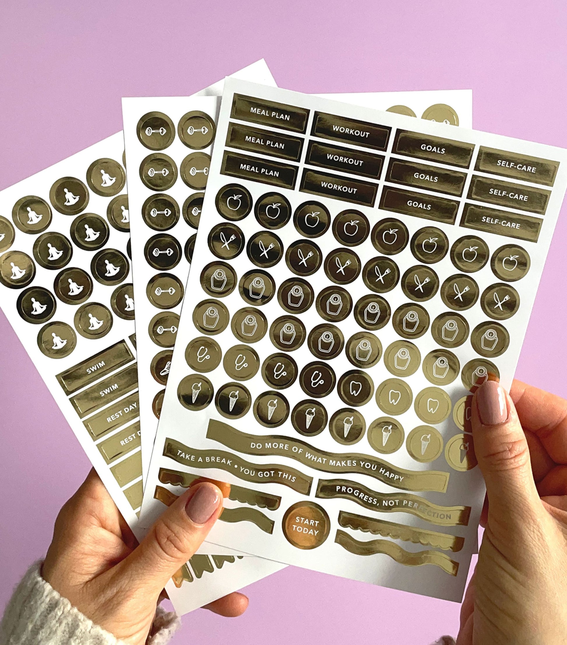 Blush and Gold Daily Fitness & Meal Planner