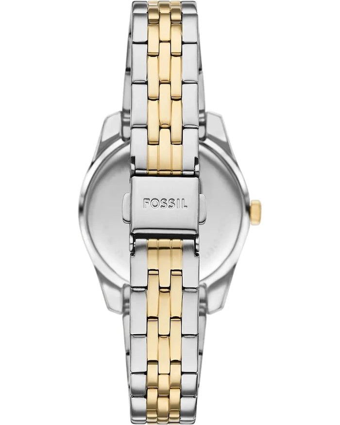 Fossil Bicolor Saat