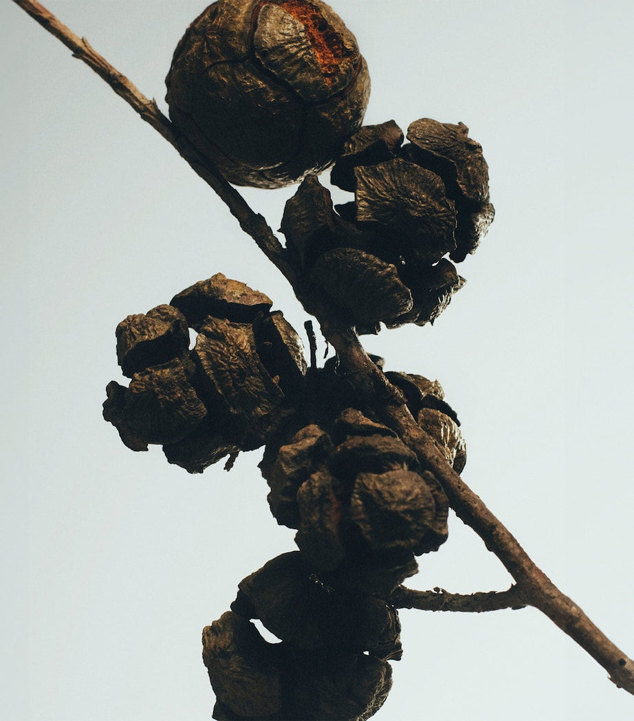 Cypress Balls Room Spray (150ml)