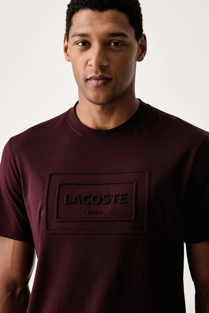 Lacoste erkek pamuklu tişört