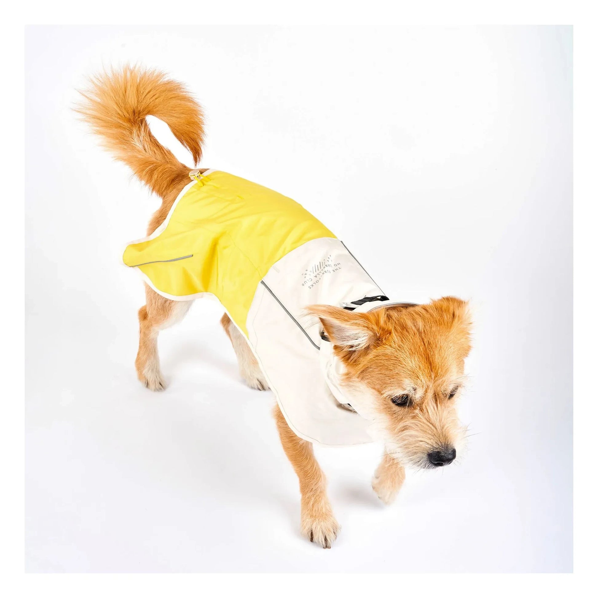 The Furry Folks - Venture rain coat | Yellow