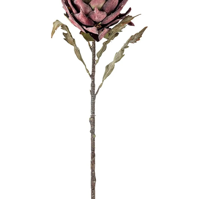 Изкуствено растение Bloomingville Protea Stem 76 cm