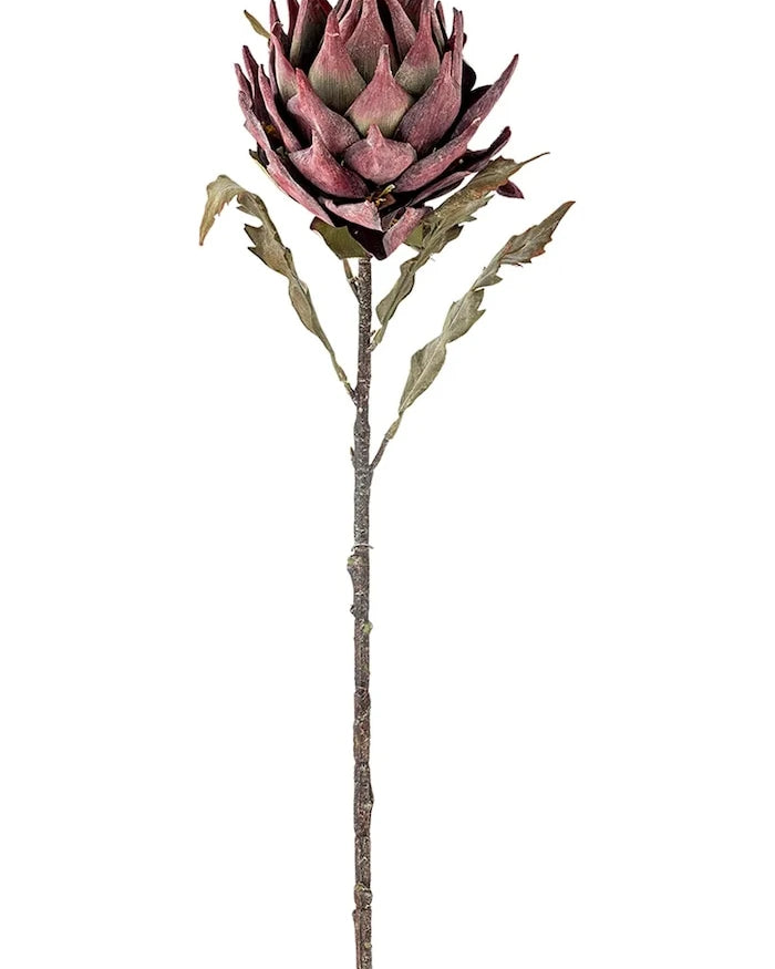 Yapay Bitki Bloomingville Protea Stem 76 cm