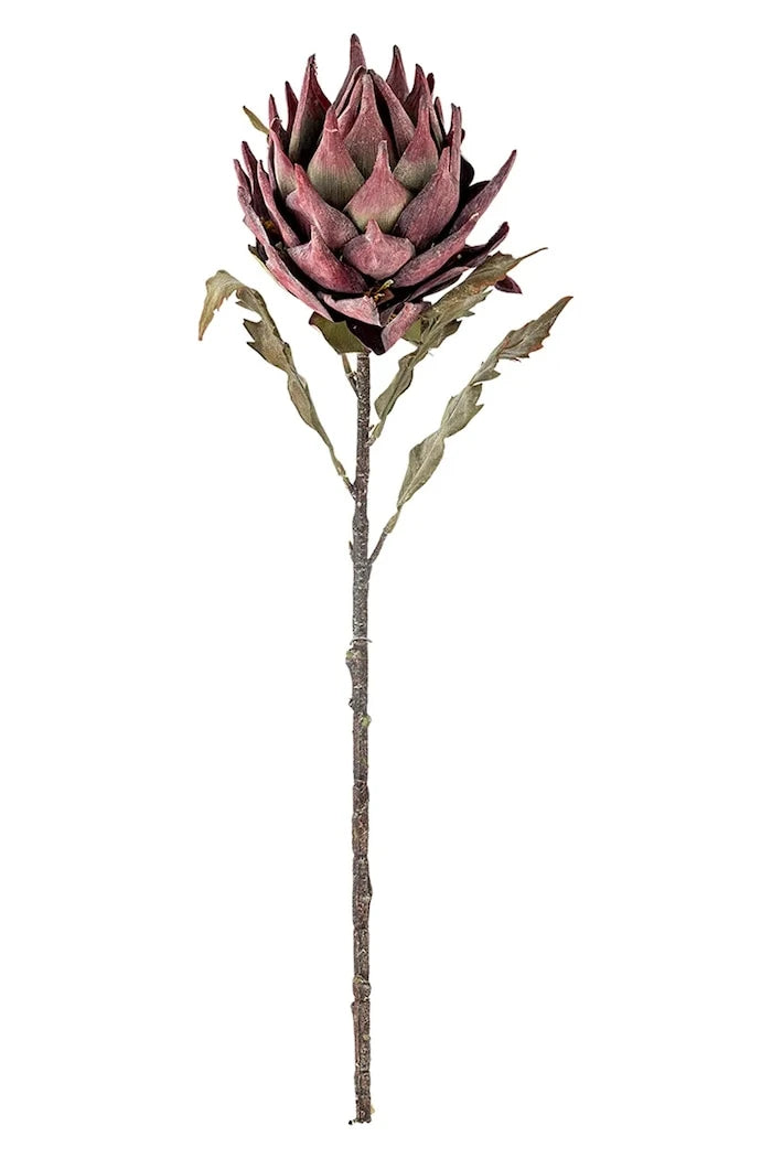 Yapay Bitki Bloomingville Protea Stem 76 cm