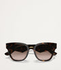 Brown Havana Butterfly Sunglasses
