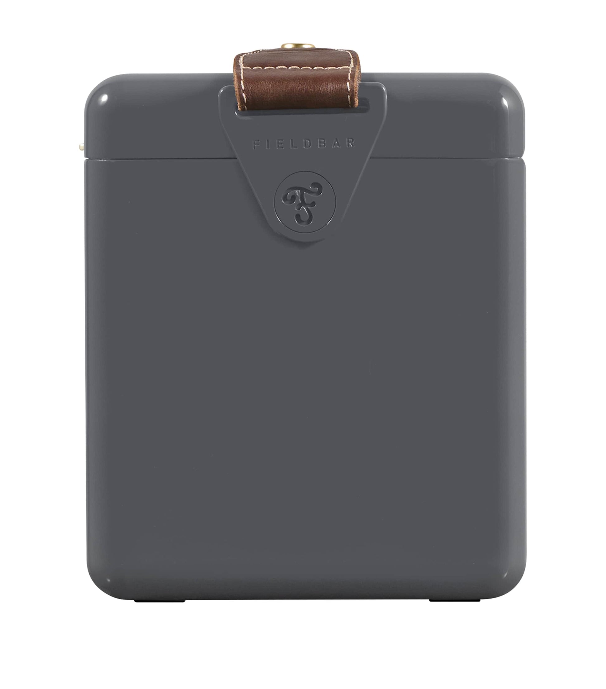 Mini Bar Cooler Box with Leather Sling (4L)
