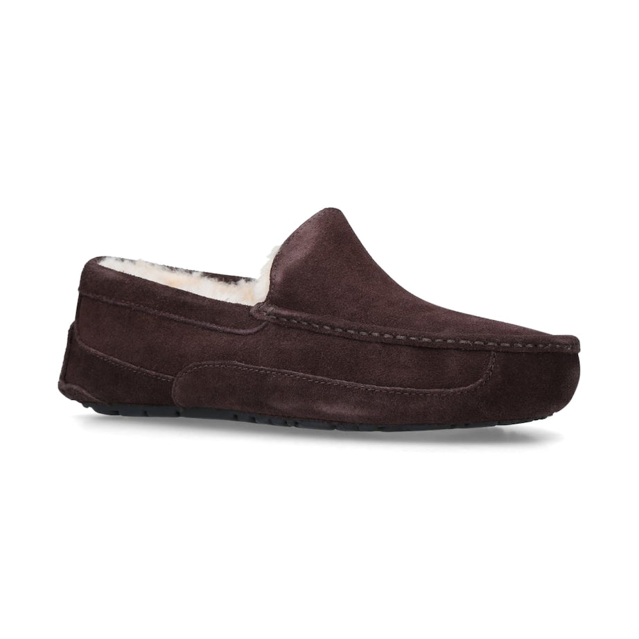 Suede Ascot Slippers