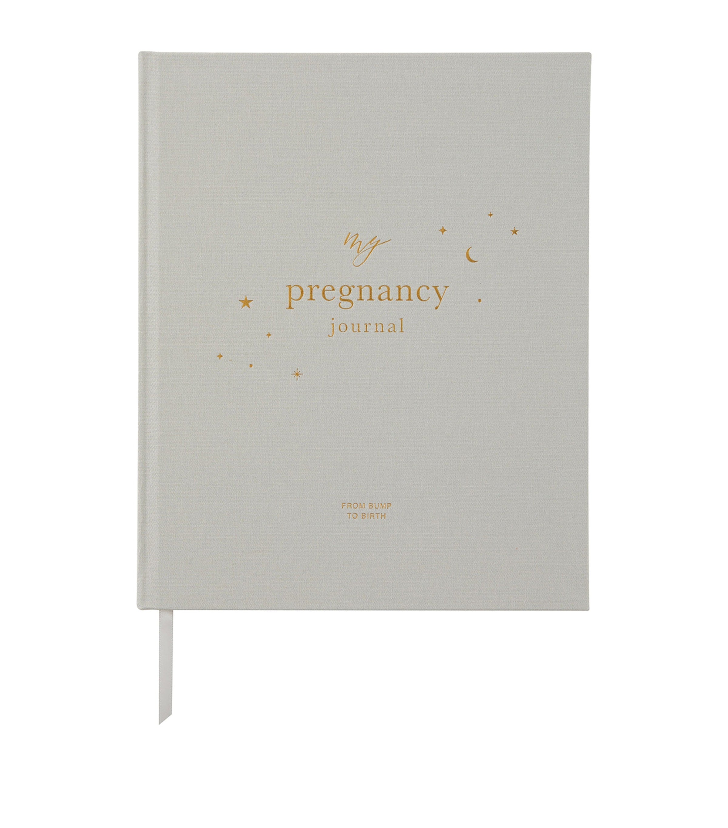 Blush and Gold My Pregnancy Journal