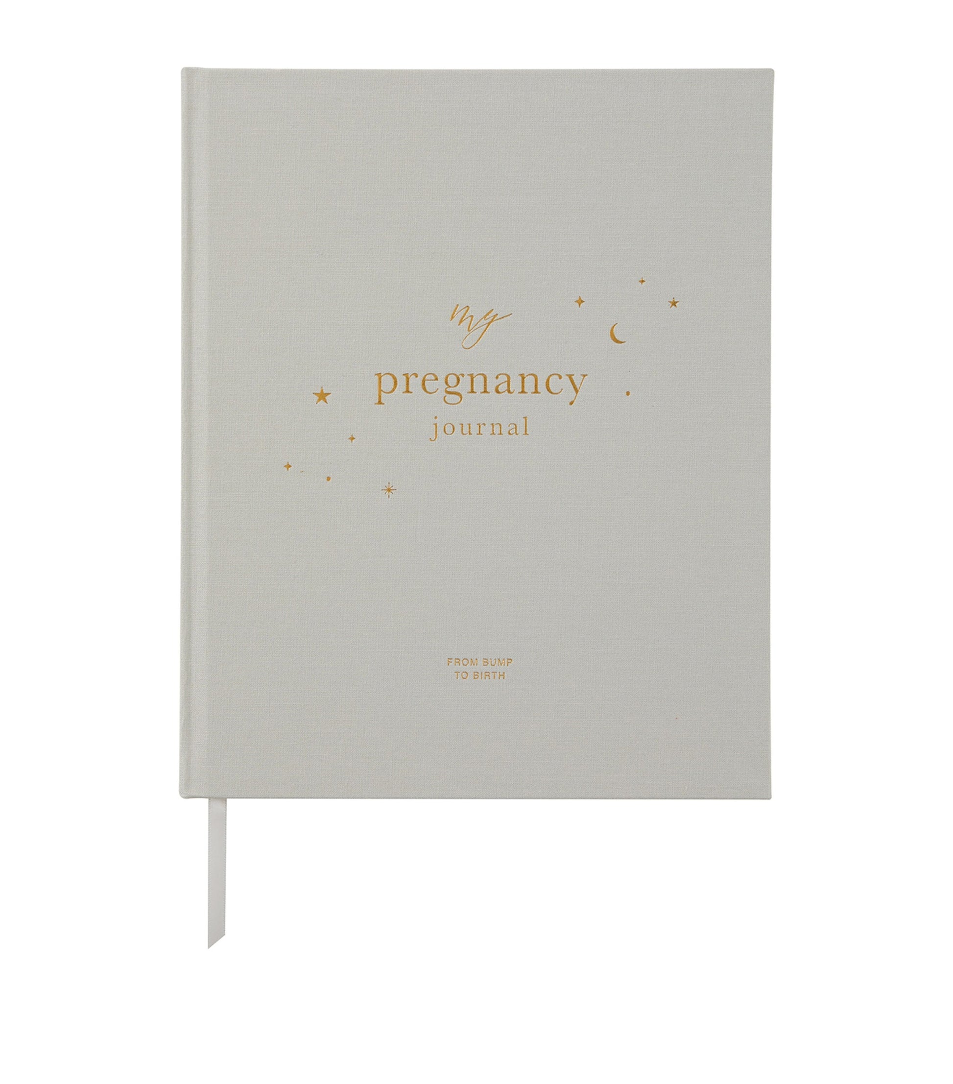 Blush and Gold My Pregnancy Journal