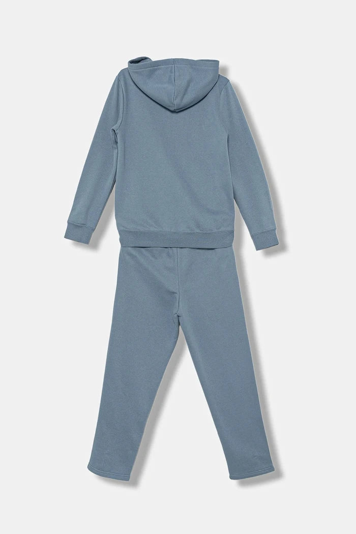 Детски анцуг Puma Metallic Hooded Sweat Suit FL G