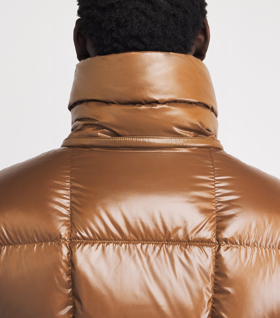 Moncler Brown Down Parana PufferJacket