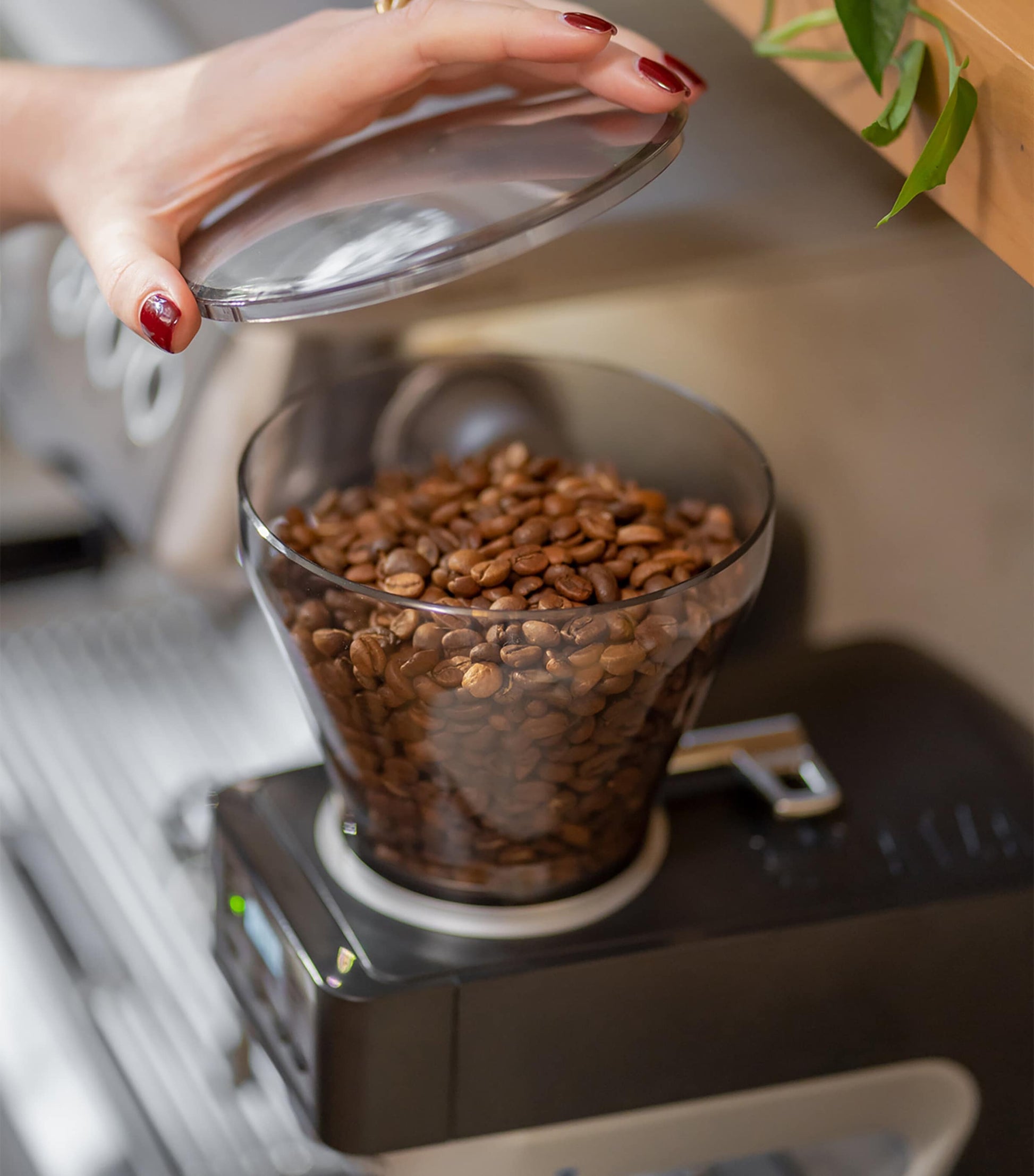 Baratza Sette 270Wi Conical Burr Coffee Grinder