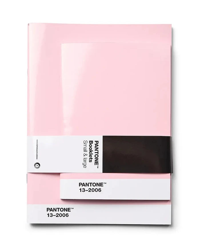 Pantone Defter Seti 17 x 12 cm / 22 x 17 cm (2 adet)