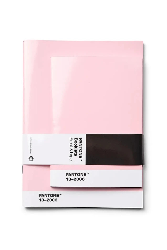 Комплект тетрадки Pantone 17 x 12 cm / 22 x 17 cm (2 броя)