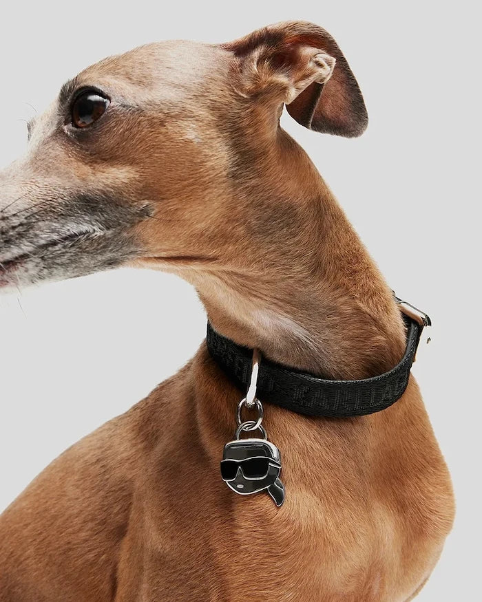 Karl Lagerfeld Ikon Köpek Tasması