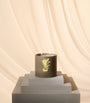Bacchus Vigour Candle (540g)