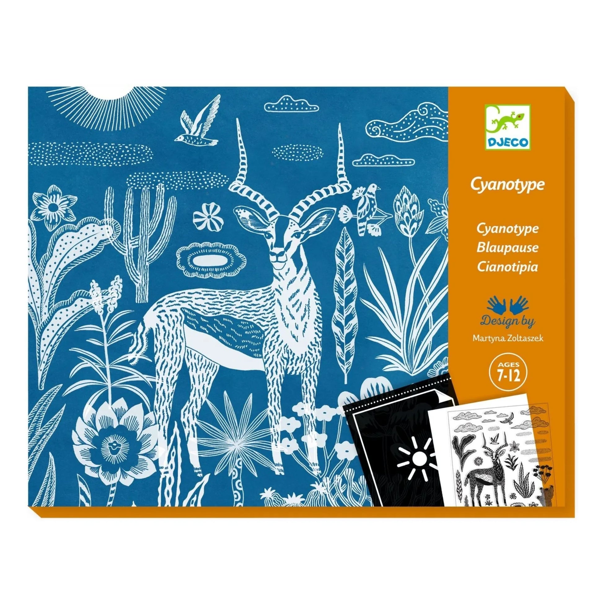 Djeco - Cyanotype nocturnal savannah
