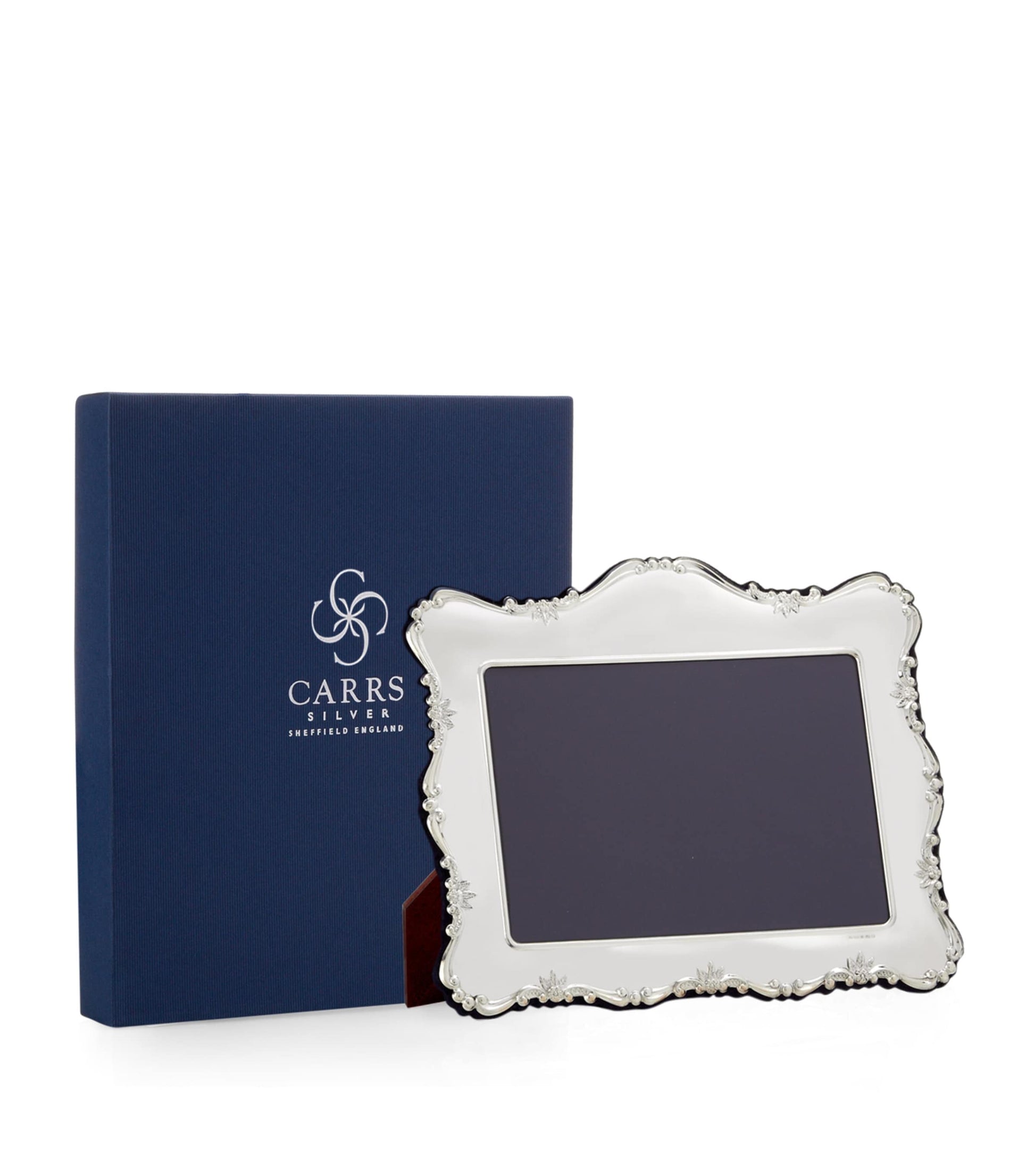 Carrs Silver Rope Sterling Silver Frame (5" x 3.5")