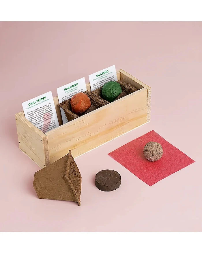 Комплект за отглеждане на растения RESETEA Spicy Growing Kit 21 x 7,8 x 6,5 cm