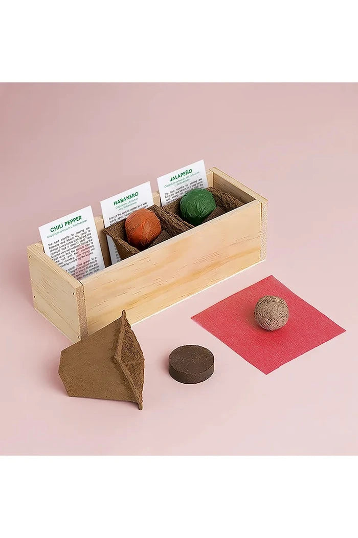 RESETEA Baharatlı Yetiştirme Seti 21 x 7,8 x 6,5 cm