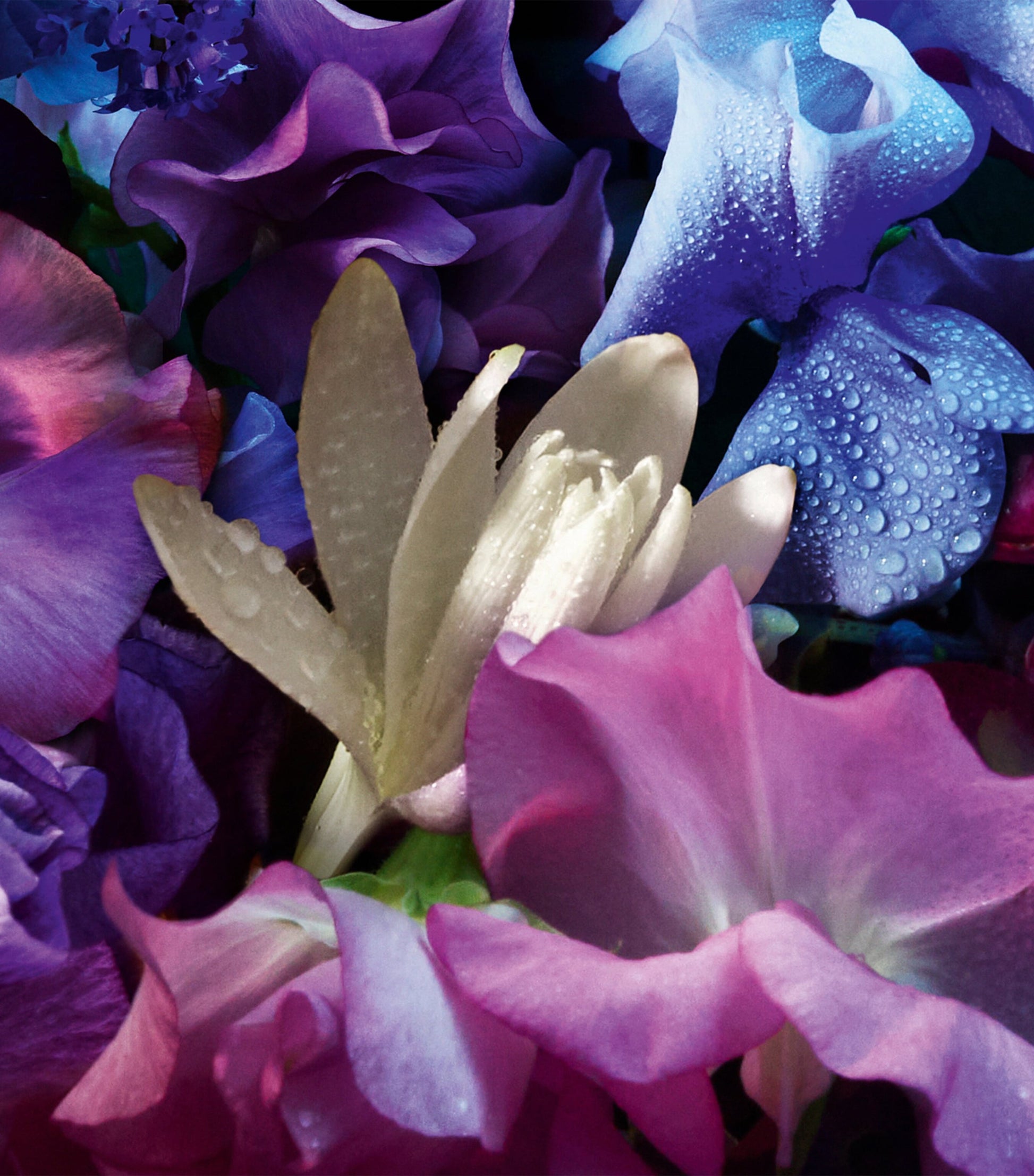 Absolus Allegoria Florabloom Eau de Parfum (125ml)