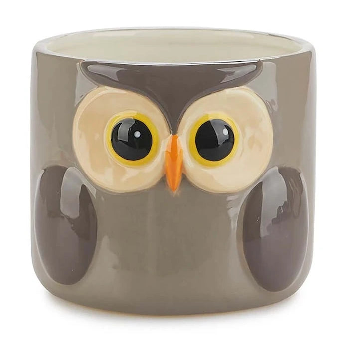 Кашпа Balvi Owl 11,7 x 13,5 cm