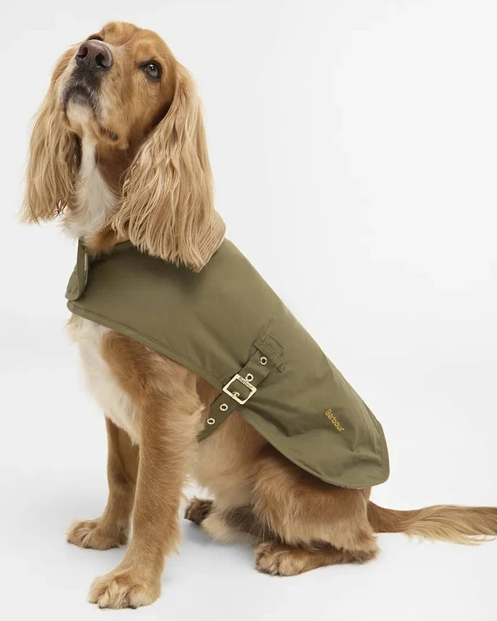 Barbour Transport Köpek Montu