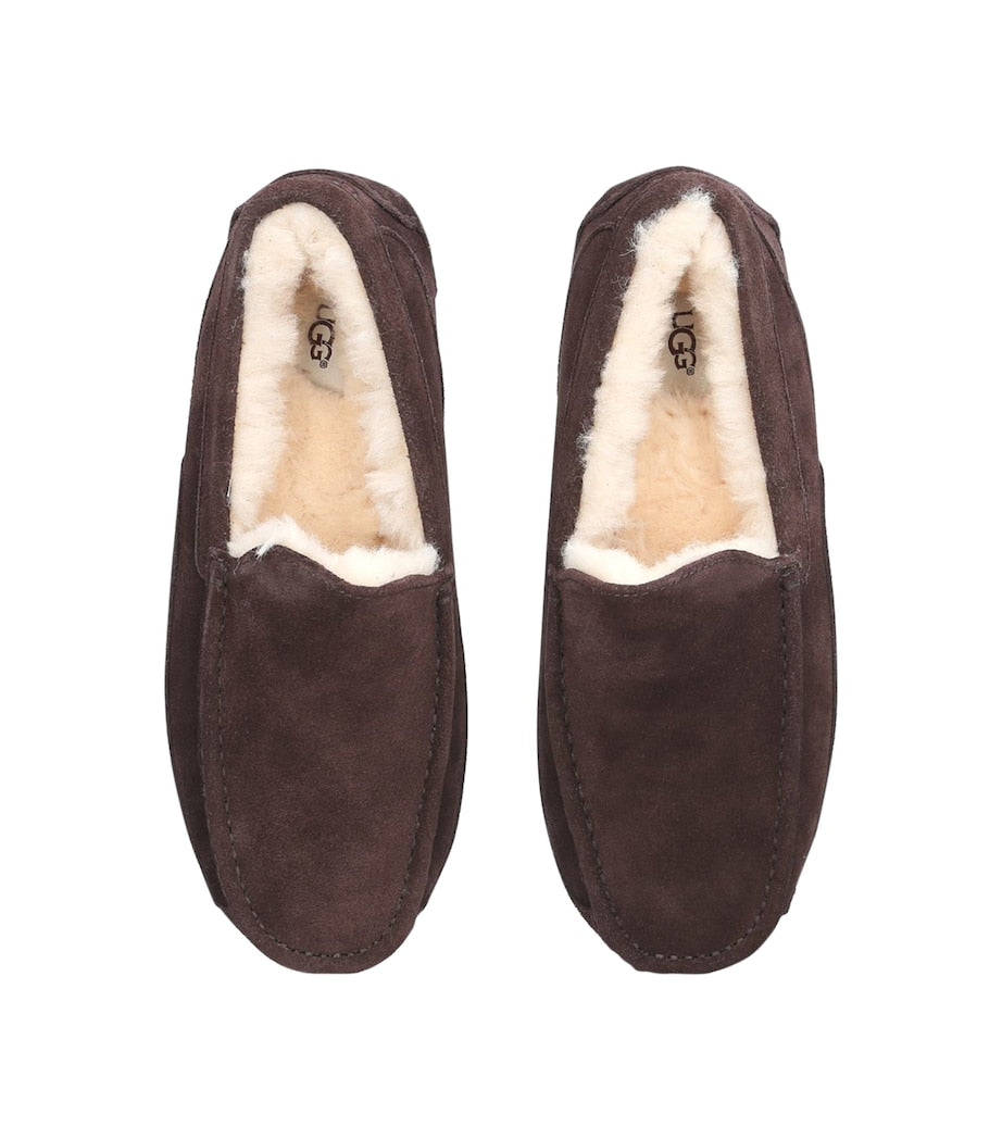 Suede Ascot Slippers